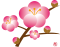 0219b64f702ee8c1854b4523e482a14b.png
